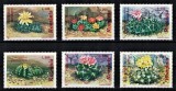 Timbre Romania 1997 Flora: Cactusi, Serie Completa MNH - Colectie Numismatica