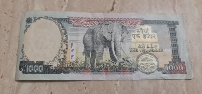 Nepal - 1000 rupees 2013- 2016. foto