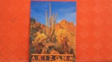 U.S.A. - ARIZONA - CACTUSI DIN DESERT - NECIRCULATA.