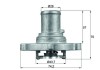MAHLE TI 122 87D termostat,lichid racire