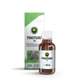 TINCTURA TATANEASA 50ML, Hypericum