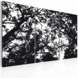 Cumpara ieftin Tablou - Dense forest 90x60 cm
