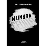 In umbra celulei - Petru Groza