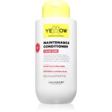 Yellow Professional Color Care Maintenance Conditioner balsam pentru păr vopsit 500 ml