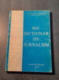 Mic dictionar de jurnalism Cristian Florin Popescu
