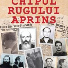 Chipul rugului aprins - Carmen Ciornea