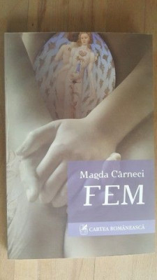 Fem- Magda Carneci foto