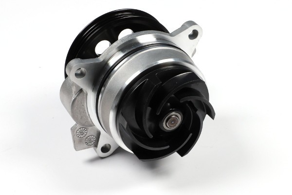 HEPU P271 Pompă de apă, răcire motor