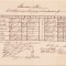 HST A814 Orar școlar oficial 1879 școala Tomnatic Timiș Banat