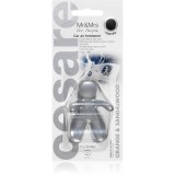 Mr &amp; Mrs Fragrance Cesare Orange &amp; Sandalwood parfum pentru masina 1 buc