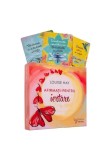 Cumpara ieftin Afirmatii pentru iertare - Louise Hay - Set de cartoline si carte