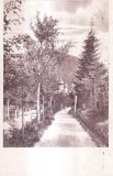 Sinaia Aleea Manastirii (circulata 1945)