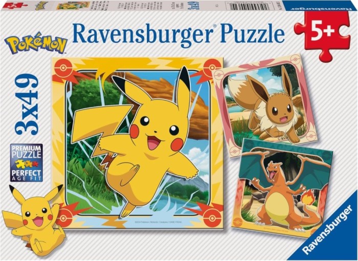 Puzzle pokemon 3x49