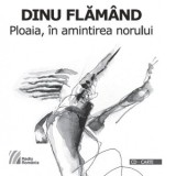 Ploaia, in amintirea norului (Carte + CD) - Dinu Flamand