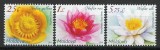 Moldova 2019 Mi 1098/100 MNH - Flora, flori, nuferi