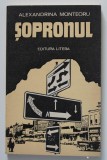 Alexandrina Monteoru - Șopronul, Editura Litera, 1990, Roman