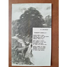 Carte postala ilustrata, Povestea Codrului I/Eminescu, 1924
