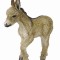 Manz mergand - Collecta
