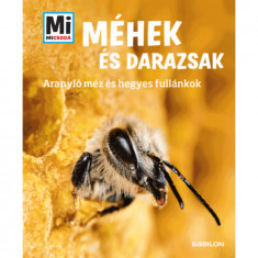 Méhek és darazsak - Aranyló méz és hegyes fullánkok - Mi Micsoda - Alexandra Rigos