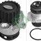 INA 538 0325 10 Pompă de apă, răcire motor