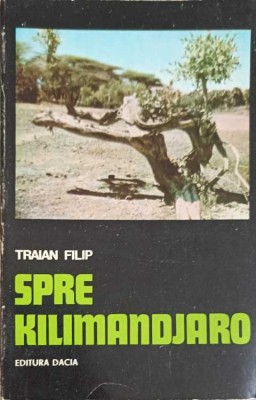 SPRE KILIMANDJARO-TRAIAN FILIP-328276 foto