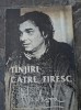 Nichita Stanescu-Tanjiri catre firesc