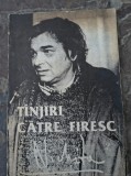 Nichita Stanescu-Tanjiri catre firesc
