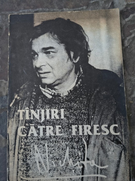 Nichita Stanescu-Tanjiri catre firesc
