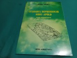 CULOARUL DEPRESIONAR SIBIU-APOLD * STUDIU GEOMORFOLOGIC / MARIA SANDU /1998 * 2 3 3