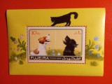 FUJEIRA, PISICI - COLIȚĂ MNH