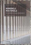 Numerele irationale: un scandal in inima matematicii - Bartolo Luque, Jorge Calero