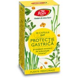Protectie gastrica D47, 30 capsule, Fares