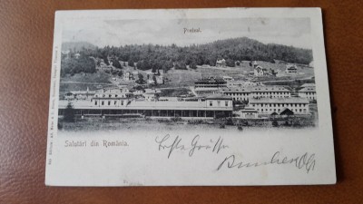 Carte postala, Predeal, inceput de secol XX foto