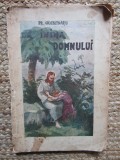 PR. GH.V. BUTNARIU( BISERICA DOMNITA BALASA), INIMA DOMNULUI- PREDICI. BUCURESTI 1938