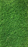 Cumpara ieftin Covor Gazon Iarba Artificiala Sri Lanka 30 mm Latime 1 m - 100x1500, Verde