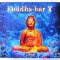 Pachet 2 CD-uri &quot;Buddha-Bar X&quot;, by RAVIN
