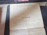 deciziune tribunalul nasaud biuroul orfanal bistrita an 1929