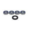 Kit Rulmenti Roata Spate All Balls Cagiva GRAN CANYON 900 NAVIGATOR 1000 Yamaha IT250 TT600 YZ490 (1981-2005) 25-1267