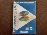 MATEMATICA MANUAL PENTRU CLASA A XI M1 ILIE PETRE IAMBOR
