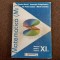 MATEMATICA MANUAL PENTRU CLASA A XI M1 ILIE PETRE IAMBOR