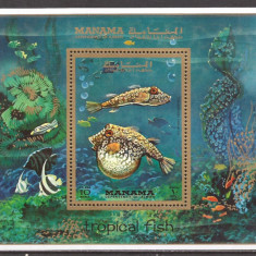 MANAMA 1971 FAUNA MARINA PESTI TROPICALI ( colita dantelata ) MNH