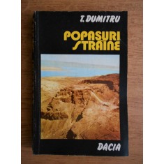 Tudor Dumitru - Popasuri straine