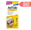 AdTab Caini 2.5-5kg, 1 Comprimat - Antiparazitar Purici & Capuse, Protectie 1 Luna