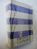 Drumul cu plopi - Cezar Petrescu