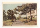 FA136 -Carte Postala- RUSIA - Kostroma. To the Volga, necirculata 1967