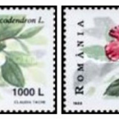 Romania 1999 - Flori de arbuști, serie neuzata