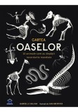 Cumpara ieftin Cartea oaselor, Didactica Publishing House
