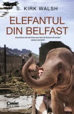 Elefantul din Belfast foto