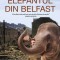 Elefantul din Belfast