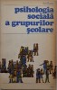 Psihologia sociala a grupurilor scolare - M. Zlate - Carte Psihologie